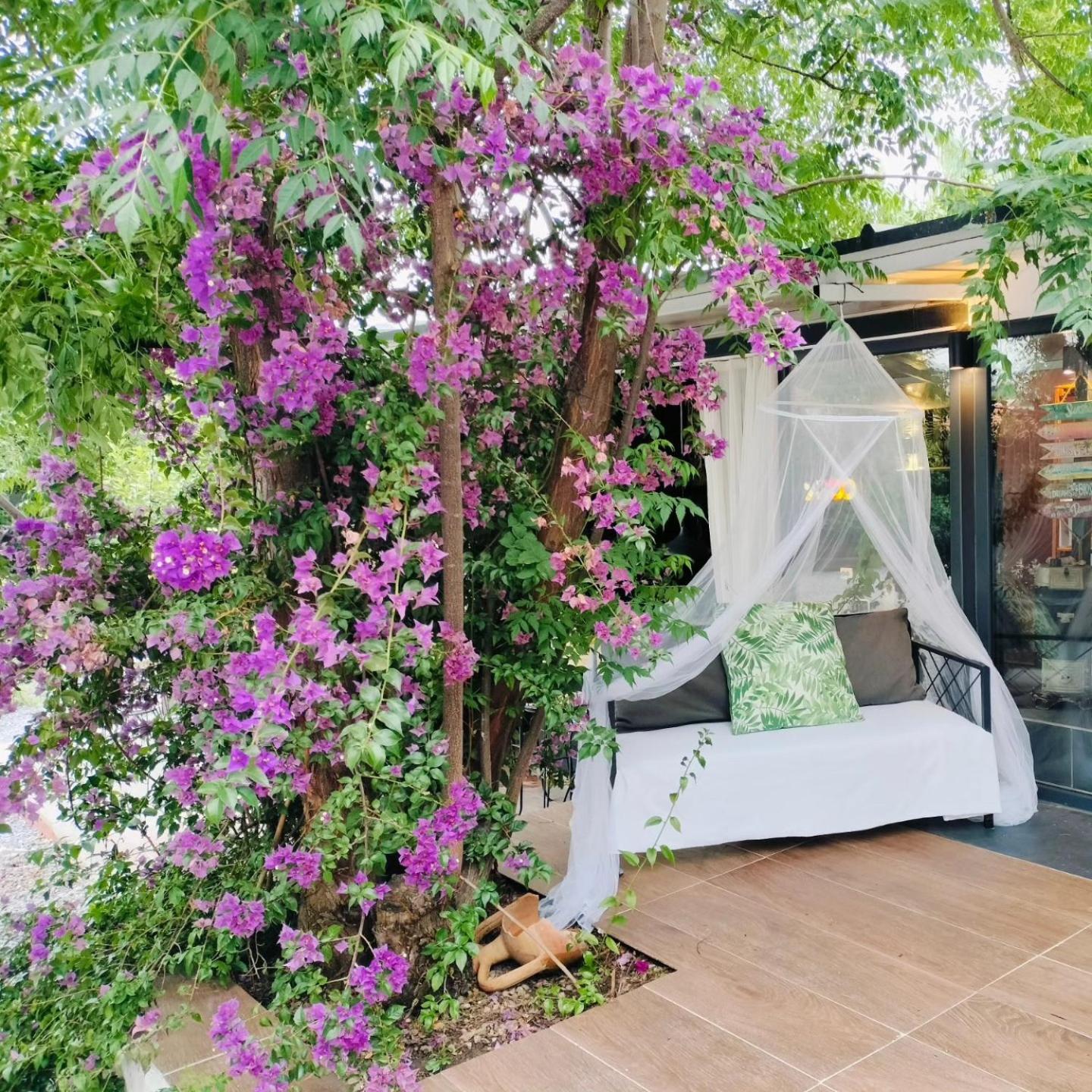 Baykus Guesthouse-Konukevi Soke Exteriör bild